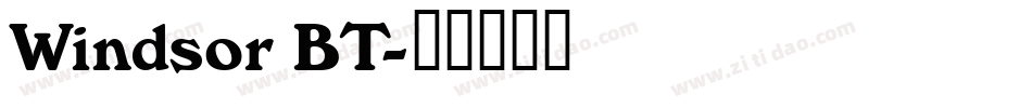 Windsor BT字体转换